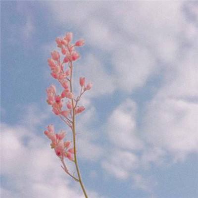 金沙官方版下载