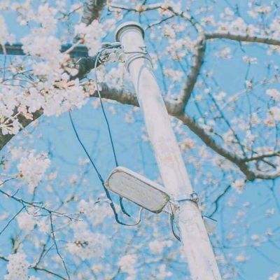 江南网页入口官方正版