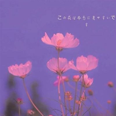 万博·体育-登录入口截图