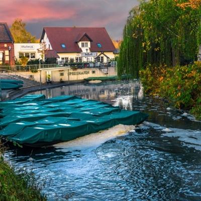 丰禾棋牌app下载