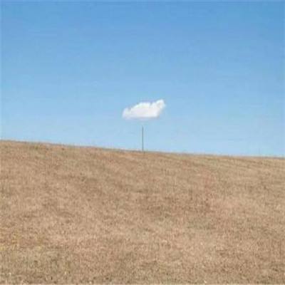 火狐体育下载app