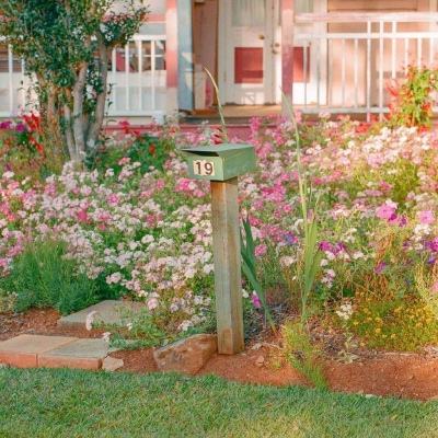 大发彩票app下载手机版